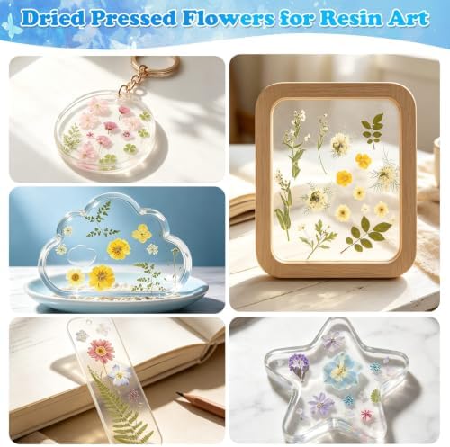 284 Pcs Real Dried Pressed Flowers & Butterfly Stickers for Resin Crafts