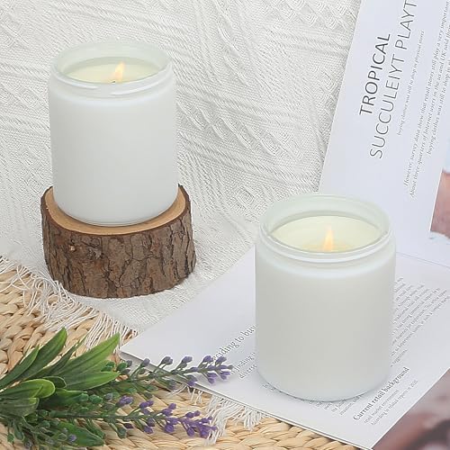 MILIVIXAY 12 Pack 8 OZ Thick Glass Frosted White Candle Jars with All Black Metal Lids-Bulk Empty Candle Jars for Making Candles-Canning Jar for Spice, Liquid, Sample- Dishwasher Safe.