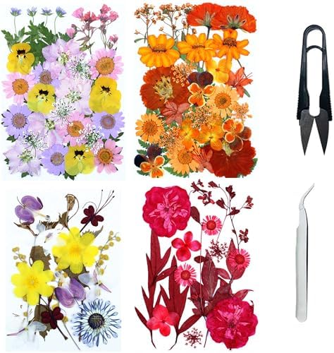Cayway 4 Pack Natural Dried Pressed Flowers for Resin, Scrapbook, DIY Art Crafts, Epoxy Jewelry, Card Making Supplies - Colorful Real Flowers, Style F