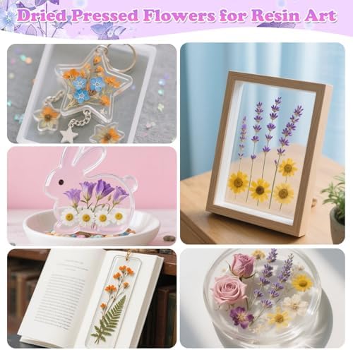 300 Pcs Real Dried Pressed Flowers & Butterfly Stickers for Resin Crafts