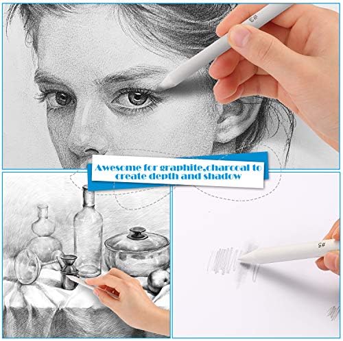 AGPTEK 22 PCS Sketch Drawing Tools, 16 Blending Stumps Set