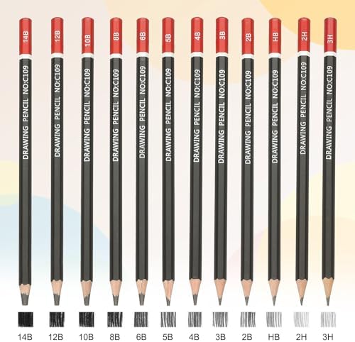 PATIKIL HB Drawing Pencils for Sketching, 12PCS Sketch Pencils for Drawing Art Pencils Graphite Wood Pre-sharpened for Drawing Sketching Artists, HB Pencils Black Red Rod