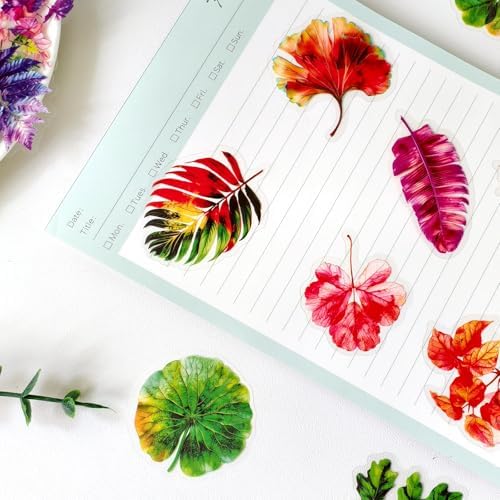 Ychsring Colorful Plant Leaf Stickers - 50 Pcs Clear PET Nature Botanical Fall Leaves Stickers for Scrapbook, Journal, Collage - Transparent Waterproof for Resin, Craft & Scrapbook Supplies