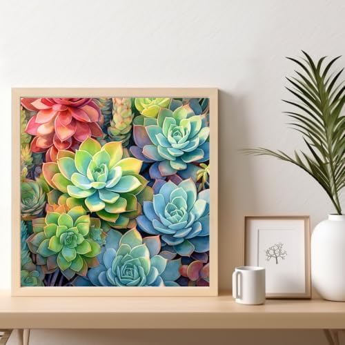 Succulents Framed Paint by Numbers Kit for Adults Beginner 10x10 inch