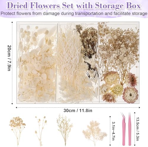 Real Dried Flowers 100% Natural Dried Flowers, Mixed Colors Dried Leaf Flowers for DIY Arts and Crafts Candles Resin Jewelry Nail Pendant Cards Scrapbooking Wedding Home Decoration (White)