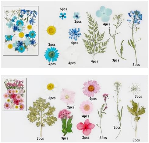 Cayway 170 PCS Dried Flowers for Resin, Real Nature Dried Pressed Flower Leaves for DIY Nail Art Cards Jewelry Making Epoxy Resin Molds Candle Accessories Floral Decors, Multicolor
