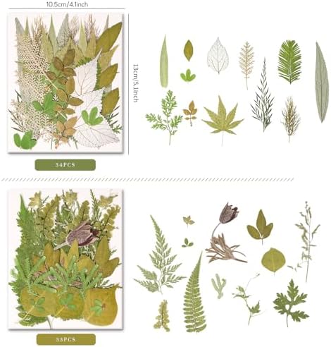 100 PCS Real Pressed Dried Leaves with Tweezers | Natural Dried Flowers, For Resin, Candle, Jewelry, Scrapbooking & DIY Crafts, Leaves 100