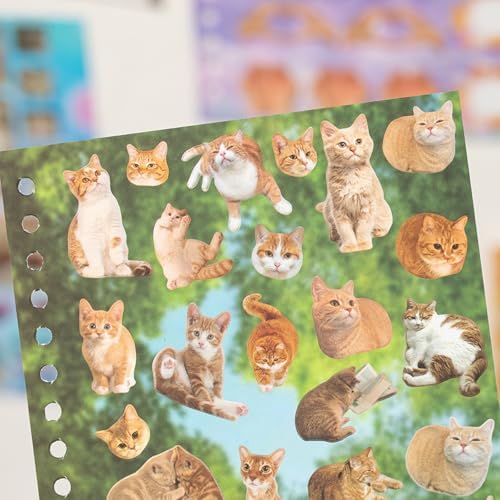 ZHIJIANHZ Cat Sticker Book with Meme Stickers 30 Pages Over 800 Die Cut Stickers with 3 Coating Types for Scrapbook Journal and Planner Sticker Album with Premium Art Paper and Cute Design