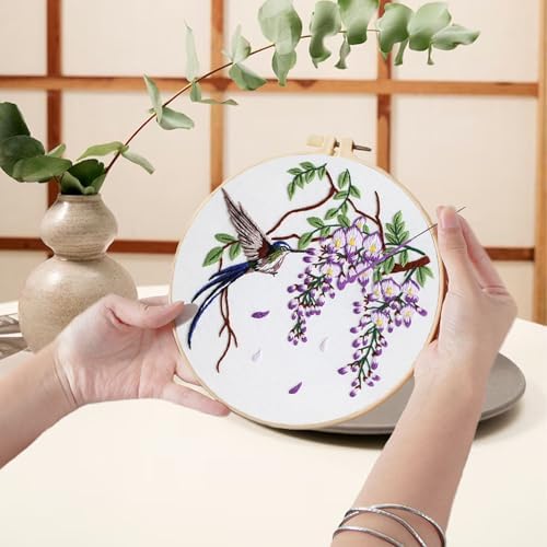 Ohcol 3 Sets Hummingbird Embroidery Kit for Beginners Needlepoint Kits for Adults Cross Stitch Kits with Clear Instructions,Easy Funny Stamped Bird Patterns Fabric Hand Crafts