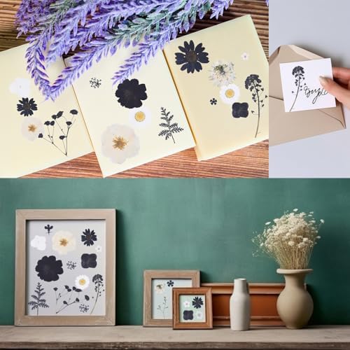 115Pcs Black Dried Pressed Flowers for Crafts,Xinxinran Dry Flowers Kit for Resin Molds,Epoxy Resin Accessories,Bookmark,Nails, Jewelry Molds,Candle Making Supplies,Soap,Frame