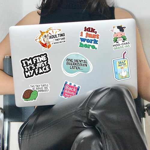 300 Pcs Funny Stickers for Adults Meme Water Bottles Decals Pack Waterproof Cool Sticker for Laptop, Bumper, Phone, Hard Hats, Sarcastic, Scrapbooking Decals