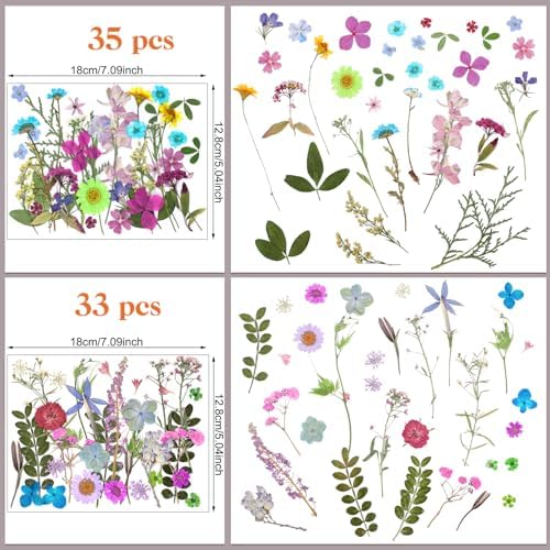 Nuanchu Vibrant Tiny Dried Pressed Flowers Wildflowers for Craft Resin Mold