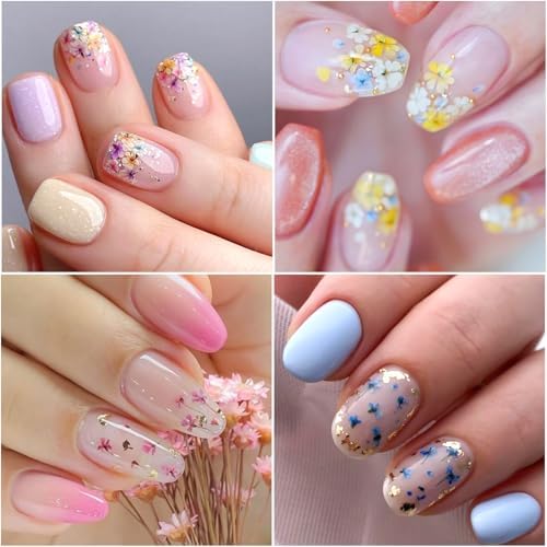 4 Boxes 3D Dried Flowers for Nails, Mini Dried Flowers Nail Stickers Decals