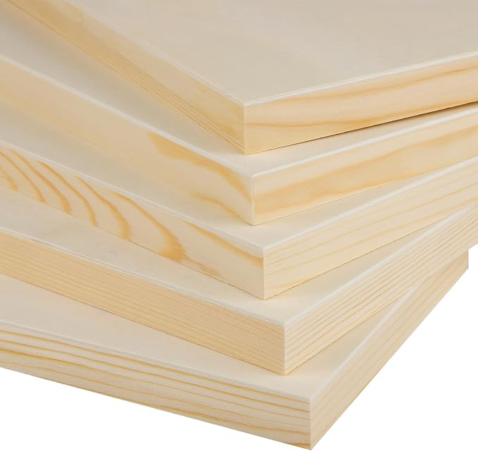Aodaer 8 Pack Wood Panels 6 x 12 Inch Wooden Panels Canvas Unfinished Craft Wood Boards Panels for Art Crafts Acrylic and Oil Painting Pouring DIY Projects