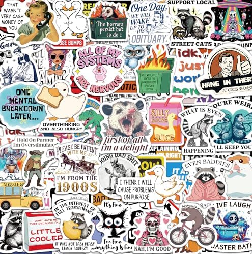 300 Pcs Funny Stickers for Adults, Sticker Pack for Water Bottle Laptop | Scrapbook Planner Journal Stickers Supplies, Waterproof Vinyl Meme Sticker, Gifts for Men Women, Hard Hat Bumper Decal