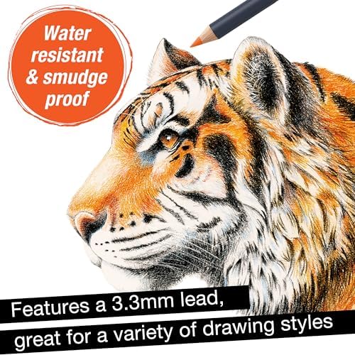 Faber-Castell Goldfaber Colored Pencils, 12 Classic Colors for Artists