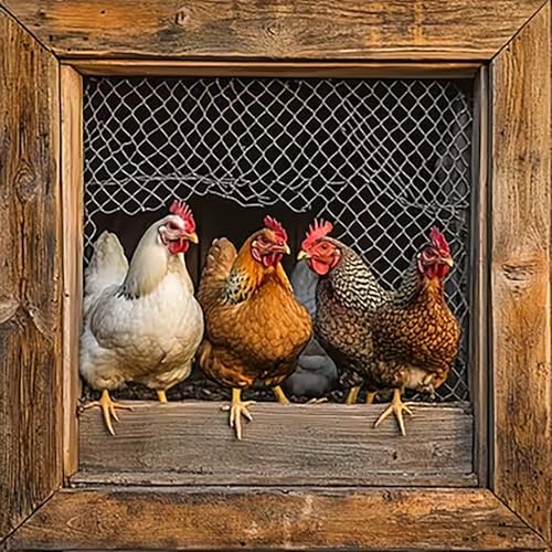 Diamond Art Kits for Adults,Chicken Coop Diamond Painting Kits for Beginner