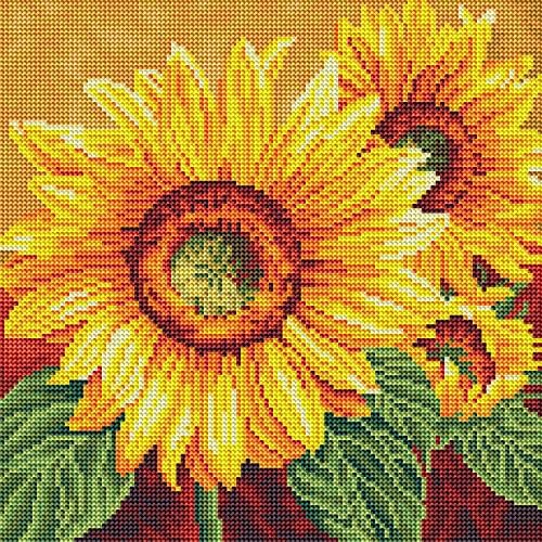 DIAMOND ART CLUB We are Sun Diamond Art Kits for Adults