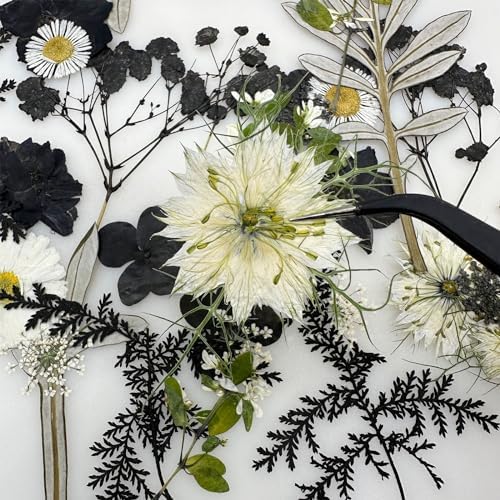 Cayway 2 Pack Dried Pressed Flowers for Resin Molds, Black Real Pressed Flowers Dry Leaves Kit Natural Dried Pressed Leaves for Art Crafts Resin Scrapbook Supplies Soap Candle DIY, Style A