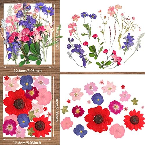 Nuanchu Dried Pressed Flowers for Resin,Elegant Style,Bright Colors