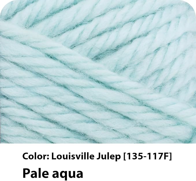 Lion Brand Yarn 135-117 Hometown Yarn, Louisville Julep (1 Skein) (Pack of 2)