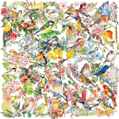 50 Pack Watercolor Bird Transparent Stickers for Teens - Floral Nature Birds Decals Waterproof PET Scrapbook Decals for Journal, Guitar, Notebook, Phone Case - Ins Aesthetic Nature Art Sticker Set