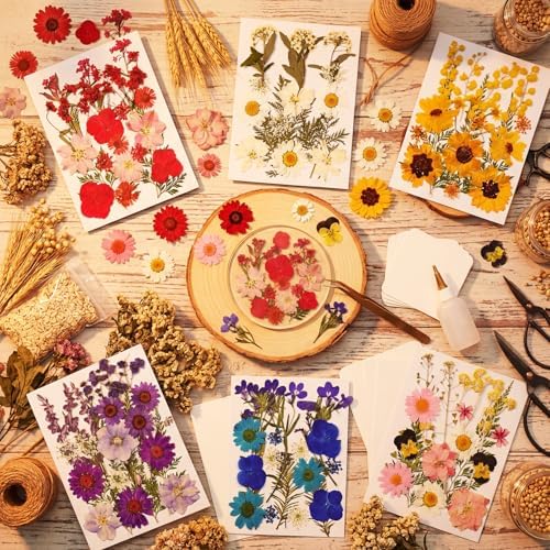 Dried Flowers for Resin, 106pcs Natural Flowers and Leaves Compressed