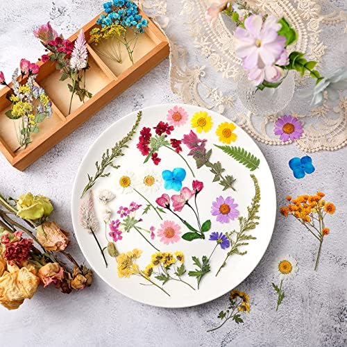Nuanchu Dried Pressed Flowers for Resin,Delicate Style,Bright Colors