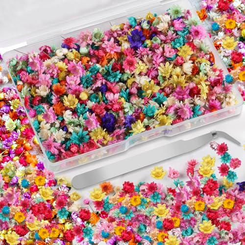 Mini Dried Flowers for Resin,520 Pcs Small Dried Flowers for Crafts