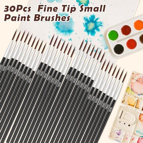 30Pcs Micro Paint Brushes Set with Protective Sleeve, Detail Paint Brushes #000 Fine Line Brushes Set for Watercolor, Acrylic, Crafts, Models