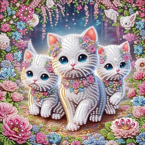 AiYuanzsh DIY Diamond Art Painting Kits for Adults, 5D Special Shape Crystal Rhinestone Diamond Art Kits for Beginners, for Home Wall Decoration Gift 12x12 inch, Cute Cats