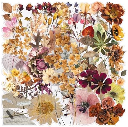50PCS Withered Plants Stickers, Waterproof Vinyl PET Transparent Vintage Dried Flower Decals for Laptop, Luggage, Skateboard, Phone, Fridge, Trendy Stickers for Teens, Adults, Boys and Girls(withered)