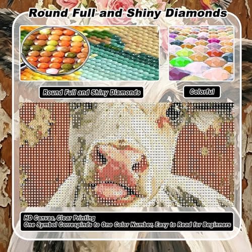VeGuude Diamond Art Kits for Adults, Full Drill Highland Cow Diamond Art Kits for Beginners, DIY Full Rhinestone 5D Diamond dots (Gemstone Craft), Home Wall Decoration (12x16 inch)