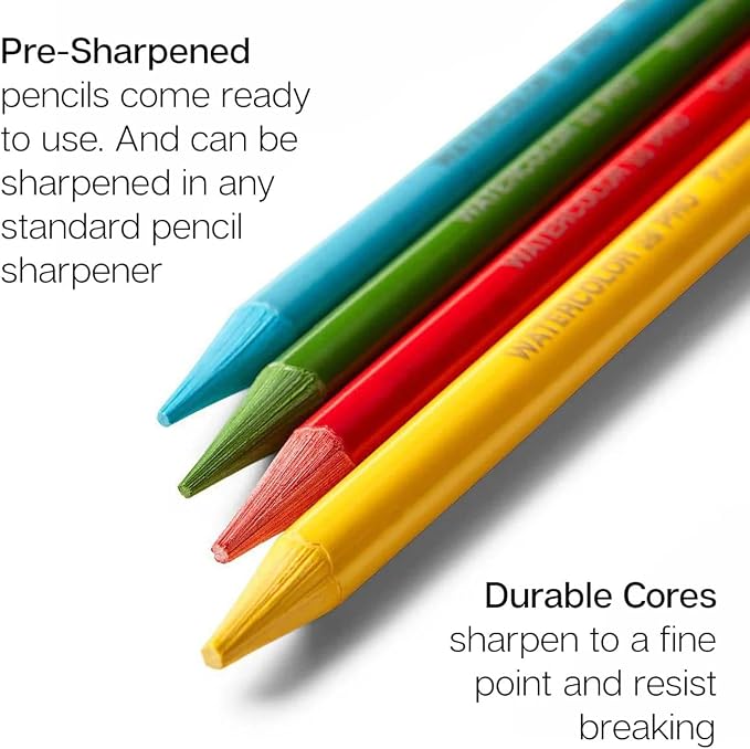 KINGART 315-24 Pro Artist Quality 24 Ct. Woodless Watercolor Pencil Set, 24 Soft Core, Pre-Sharpened Crayon Style Art Pencils, Use Wet or Dry, Professional to Beginner