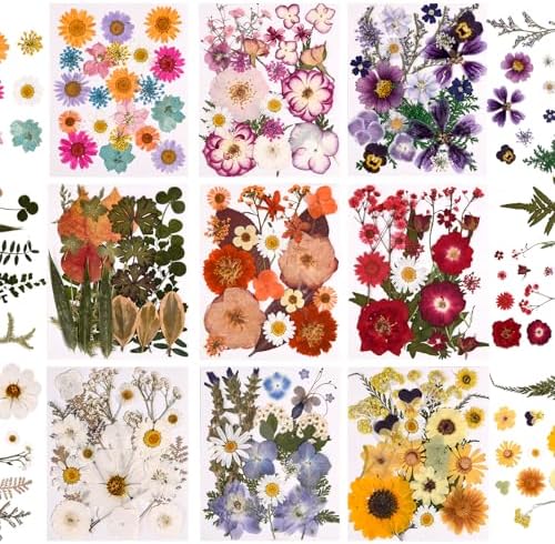 9 Packs of 200 Pressed Dried Flowers and Leaves for DIY Crafts | Assorted Real Natural Dry Flowers with Tweezers For Resin, Soap, Jewelry, Card Making,Nail Artand Scrapbooking