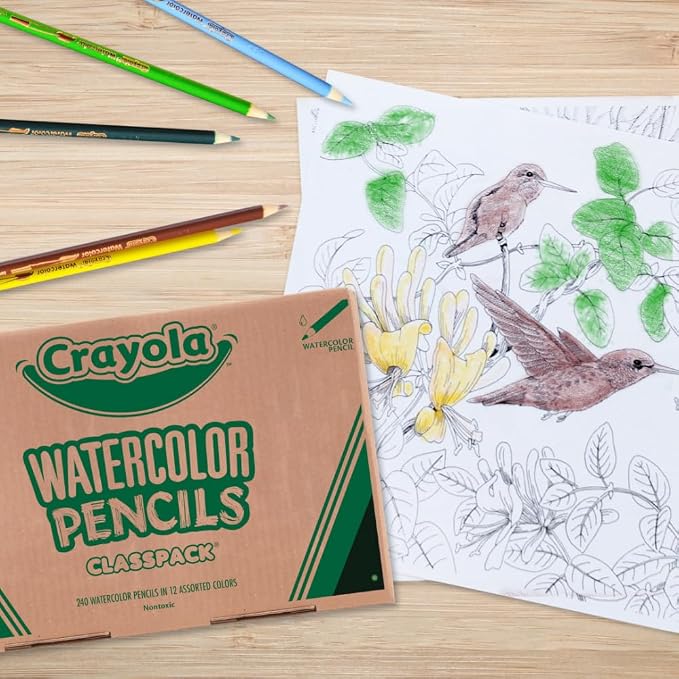Crayola Classpack Watercolor Pencils 240ct, Bulk Classroom Supplies Set