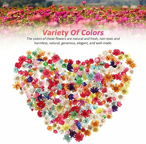 710pcs DIY Dried Flowers Scattered Aromatherapy Candle Epoxy Resin Pendant