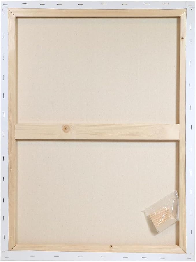 Art Advantage Artist Canvas Visual Edge 16x20, Stretched Canvas for Painting, Blank Canvas for Acrylics & Oils, Canvases for Artists, Professional Pre-Stretched Canvas