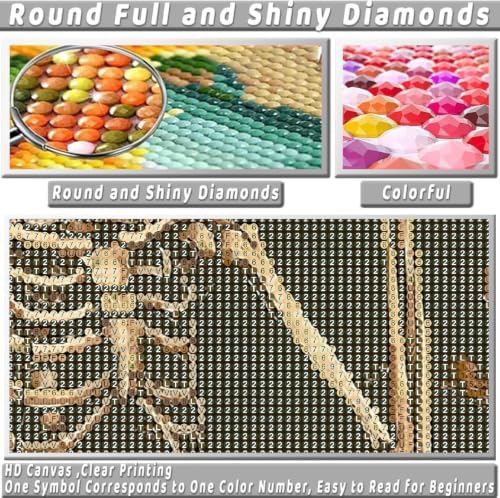 KICHANG Skull Diamond Art Kits for Adult Diamond Painting Kit for Beginner