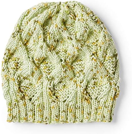 CARON Simply Soft Speckle Yarn, Lipstick