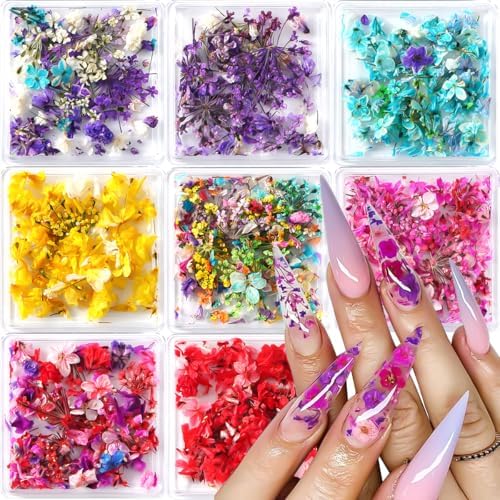 8 Boxs Dried Flowers for Nail Art,Colorful Mini Real Natural Flowers