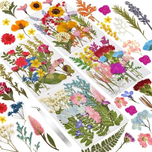 Dried Flowers 72pcs Natural Pressed Flowers and Leaves