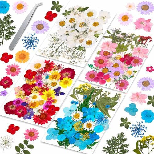 Evatage 153 Pcs Real Dried Pressed Flowers for Resin Crafts