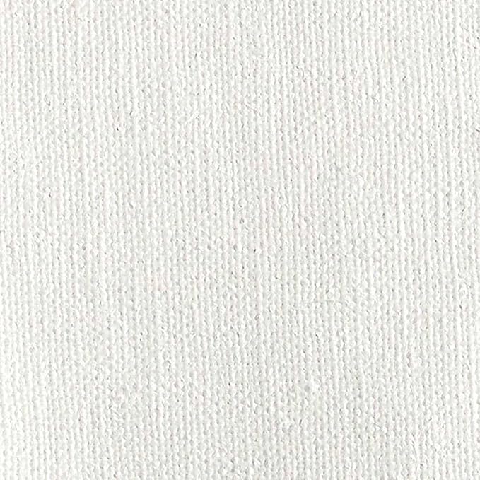 Centurion Deluxe Oil Primed Linen Panel 16"x20" - 12 Panels - Art Supplies for Oil & Alkyd Paintings, Professional Canvas Replacement, Acid-Free Medium Texture, Rigid MDF Painting Boards