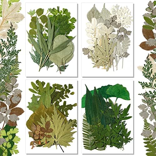 Timtin 84 Pcs Dried Pressed Leaves Flowers for Resin, Classic