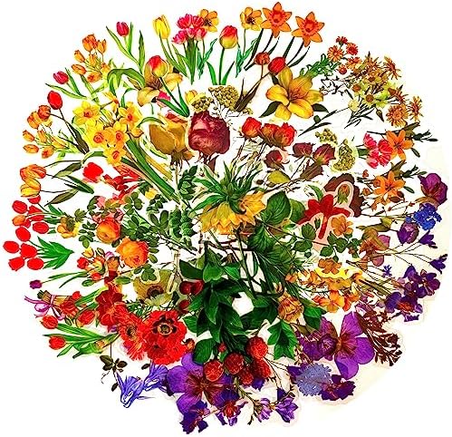 BLEDS 141 PCS Scrapbook Stickers Supplies, 120 PCS Nature Flower Self-Adhesive Stickers Plus 21PCS Big Size Scrapbooking Stickers Journaling Kit for Junk Journal Craft Card Making Decorative