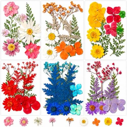 155 pcs Dried Flowers for Resin, Natural Flowers and Leaves Kit with Butterfly Stickers，Vacuum Sealed DIY Pressed Flowers for Jewelry Molds, Candle Soap Making, Scrapbook, Nail Art (Colorful-B)