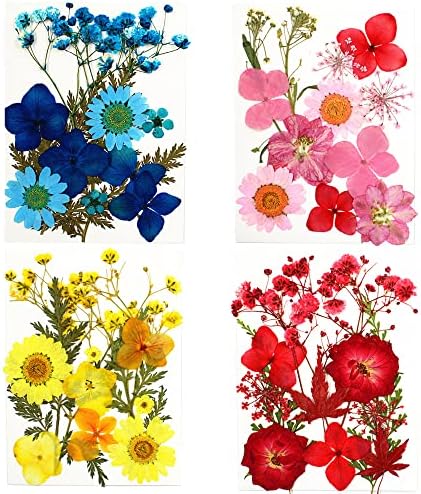 Cayway Real Pressed Flowers Dry, 4 Pack Pressed Flowers Colorful Real Pressed Flowers for Resin Scrapbooking DIY Art Crafts, Epoxy Resin Jewelry, Soap Making