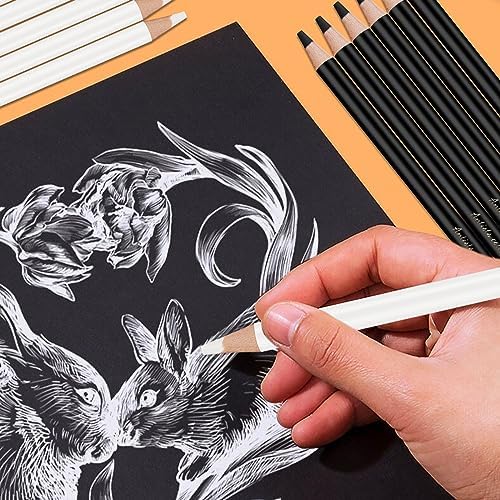 Heshengping 6 Black 6 White oil color pencils coloring drawing pencil oil-based wooden colored pencils for artists beginners artists, 12 pack