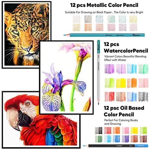 iBayam Art Sketching Drawing Supplies, 3-Color Sketchbook & Coloring Book | 78-pc Professionals art kit, graphite, charcoal, watercolor & metallic pencils, Non-toxic, zip case, Adults Kids Teen Girls